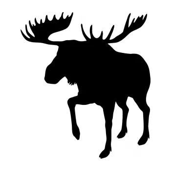 Samolepící dekorace SAMOLEPKA Los 003 levá (01 - černá) NA AUTO, NÁLEPKA, FÓLIE, POLEP, TUNING, VLASTNÍ TEXT, TISK, AUTOSAMOLEPKY.cz, POLEPY, OBRÁZEK, LOGO, SAMOLEPKY