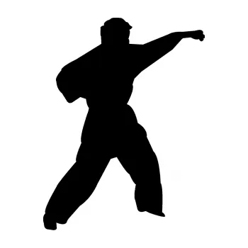 Polep vozidla Karate 010 pravá (01 - černá) SAMOLEPKA NA AUTO, NÁLEPKA, FÓLIE, POLEP, TUNING, VLASTNÍ TEXT, TISK, AUTOSAMOLEPKY.cz, POLEPY, OBRÁZEK, LOGO, 3D STICKERS