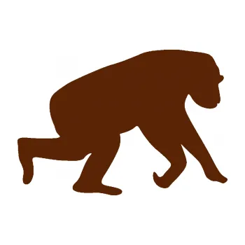 Samolepící dekorace Opice 001 pravá (15 - hnědá) SAMOLEPKA NA AUTO, NÁLEPKA, FÓLIE, POLEP, TUNING, VLASTNÍ TEXT, TISK, AUTOSAMOLEPKY.cz, POLEPY, OBRÁZEK, LOGO, 3D STICKERS