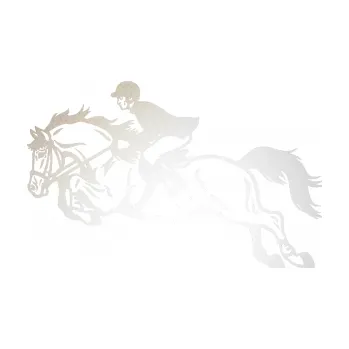 Samolepící dekorace SAMOLEPKA Kůň 059 levá jezdec na koni parkur (82 - odrazková reflexní bílá) NA AUTO, NÁLEPKA, FÓLIE, POLEP, TUNING, VLASTNÍ TEXT, TISK, AUTOSAMOLEPKY.cz, POLEPY, OBRÁZEK, LOGO, SAMOLEPKY