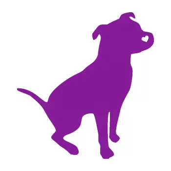 Samolepicí dekorace na vozidlo Pitbull 005 pravá (14 - fialová) SAMOLEPKA NA AUTO, NÁLEPKA, FÓLIE, POLEP, TUNING, VLASTNÍ TEXT, TISK, AUTOSAMOLEPKY.cz, POLEPY, OBRÁZEK, LOGO, 3D STICKERS