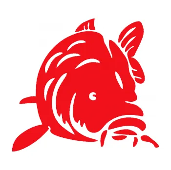 Polep vozidla SAMOLEPKA Kapr 002 pravá (10 - červená) NA AUTO, NÁLEPKA, FÓLIE, POLEP, TUNING, VLASTNÍ TEXT, TISK, AUTOSAMOLEPKY.cz, POLEPY, OBRÁZEK, LOGO, SAMOLEPKY