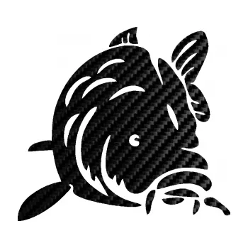 Autodoplněk Samolepka na auto Kapr 002 pravá (50 - 3D karbon černý) NÁLEPKA, FÓLIE, POLEPY, TUNING, VLASTNÍ TEXT, TISK, AUTOSAMOLEPKY.cz, SAMOLEPKY, OBRÁZEK, LOGO, VÝROBA, PRODEJ