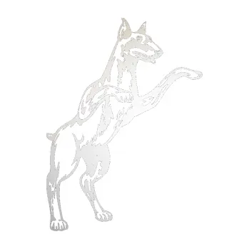 Polep vozidla SAMOLEPKA Pes 028 pravá (82 - odrazková reflexní bílá) NA AUTO, NÁLEPKA, FÓLIE, POLEP, TUNING, VLASTNÍ TEXT, TISK, AUTOSAMOLEPKY.cz, POLEPY, OBRÁZEK, LOGO, SAMOLEPKY