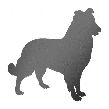 Polep vozidla SAMOLEPKA Pes 084 pravá Kolie (41 - grafitová metalíza) NA AUTO, NÁLEPKA, FÓLIE, POLEP, TUNING, VLASTNÍ TEXT, TISK, AUTOSAMOLEPKY.cz, POLEPY, OBRÁZEK, LOGO, SAMOLEPKY