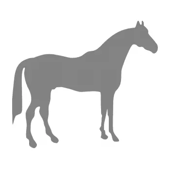 Samolepící dekorace SAMOLEPKA Kůň 004 pravá (17 - šedá) NA AUTO, NÁLEPKA, FÓLIE, POLEP, TUNING, VLASTNÍ TEXT, TISK, AUTOSAMOLEPKY.cz, POLEPY, OBRÁZEK, LOGO, SAMOLEPKY