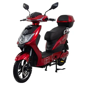 Racceway E-Fichtl 12 Ah