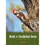 Rok v českém lese - Julius Klejdus…