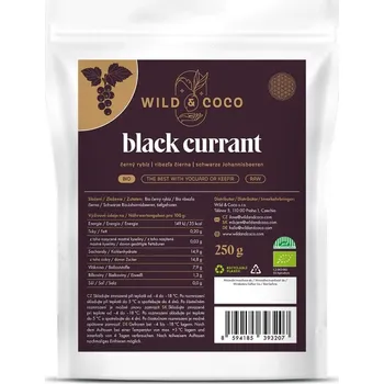 Sušené ovoce Černý rybíz BIO (mražený)