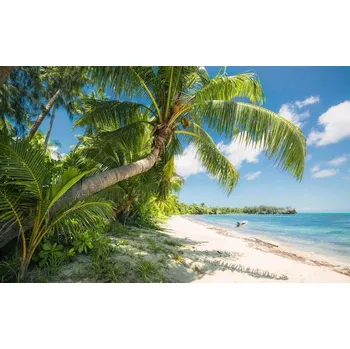 Fototapeta Fototapeta Komar Stefan Hefele 9-dílná vliesová SHX9-109 Fiji Dreams Boat (450 x 280) + potřebné lepidlo zdarma