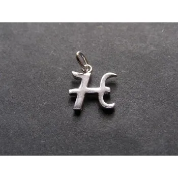 Přívěsek Stříbrný přívěsek - písmenko H
