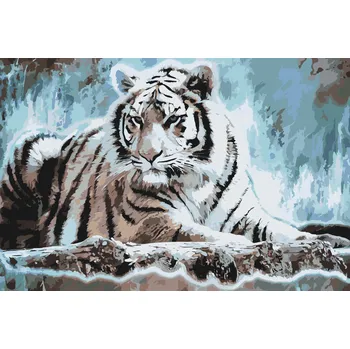 Malování podle čísel - Bengálský tygr Velikost: 40x60cm, Rámování: Pouze srolované plátno