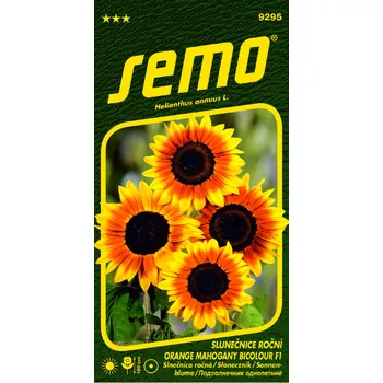 Semeno SEMO Orange Mahogany Bicolour F1 slunečnice roční 8 ks