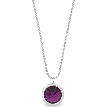 Náhrdelník Stříbrný náhrdelník fialový se Swarovski Elements Birthday Stone NB1122SS29AM Amethyst