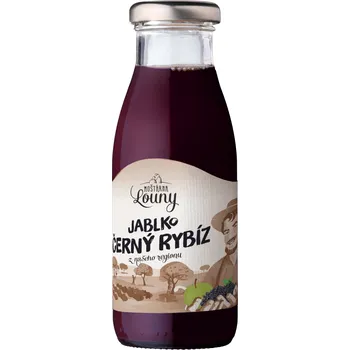 Mošt jablko a černý rybíz, 250 ml