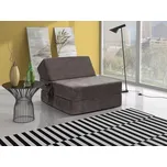 Rozkládací křeslo pro hosty Fabian, Potah: Alova 36 MIRJAN 5902928009996