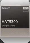 Synology 16 TB (HAT5300-16T)