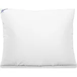 Polštář pro alergiky nanoSPACE – neprošitý bez zipu Rozměry: 50 x 50 cm, Váha: 500 g