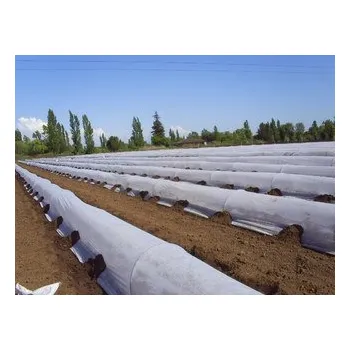 Mulčovací textilie Zakrývací netkaná textilie 17g, role 1,6x250m bílá, textilie proti mrazíkům