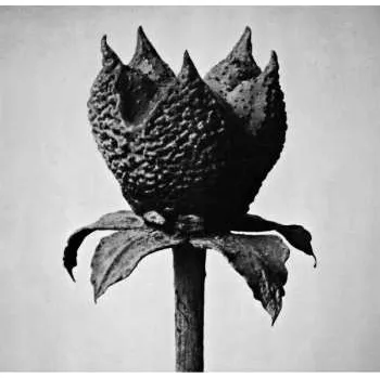 Zahraniční hudba CD Masayoshi Fujita: Book Of Life 2018