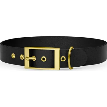 Obojek pro psa Voděodolný obojek pro psa Obodog® Adventure Spots