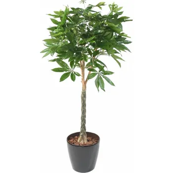 umělá květina Vert Espace Pachira 150 cm
