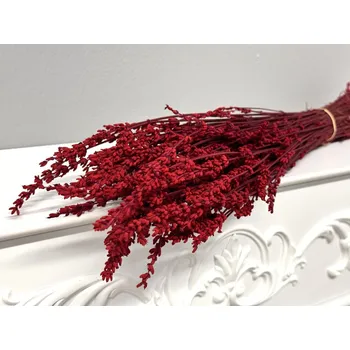 Stabilizovaná levandule vínová svazek 140g