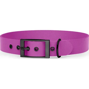 Obojek pro psa Voděodolný obojek pro psa Obodog® Adventure Prism