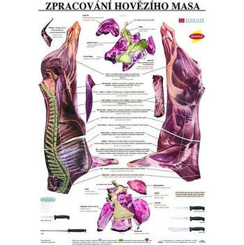 Bystrá hlava Plakát - Zpracování hovězího masa