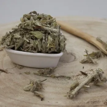 Čaj Mursalský čaj, Hojník horský - nať nařezaná - Sideritis scardica - Herba sideritis scardica 50 g