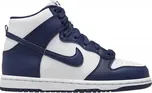 NIKE Dunk High DD2314-104