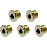 Zátka výpustě M20 x 1,5 mm BGS100126-SM20, 5 ks (Sada BGS 126) (BGS100126-SM20)