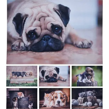 Rohožka Rohožka čistící 58X38cm pět koťat KO-GR1001000pkot