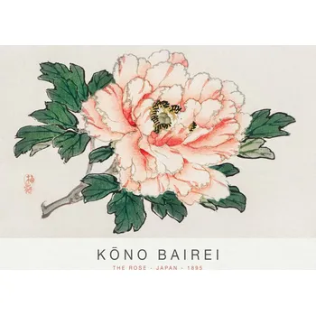 Plakát Plakát, Obraz - The Rose (Special Edition Japandi) - Kōno Bairei
