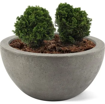 Květináč D-lite mísa M Natural Concrete 45x22cm - Do interiéru a exteriéru