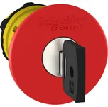 Schneider Electric ZB5AS944