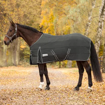 Deka pro koně Waldhausen Deka stájová Economic Waldhausen, 200g Barva: ash grey, Velikost: 125 cm