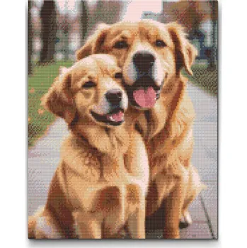 Diamantové malování Diamantové malování - Zamilovaní pejsci Velikost: 30x40cm, Rámování: Pouze srolované plátno, Diamanty: Čtvercové