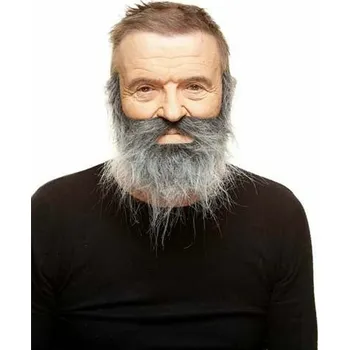 Karnevalový doplněk Falešná brada My Other Me Šedá