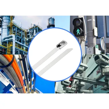 Organizace kabelů TRU COMPONENTS TC-12656640 Ocelové stahovací pásky 150 mm 4.6 mm AISI 304 10 ks