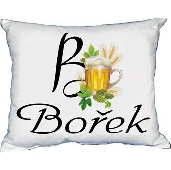 Dekorativní polštářek Polštář s pánským jménem BOŘEK (polštářek pánské jméno )