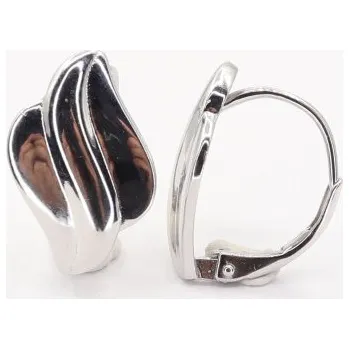 Náušnice Stříbrné náušnice s klasickým zapínáním