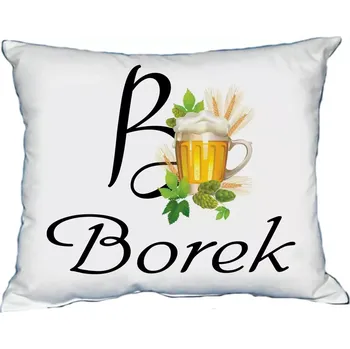 Dekorativní polštářek Polštář s pánským jménem BOREK (polštářek pánské jméno )