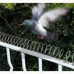 Odpuzovač ptáků – sada 4 mechanických zábran 5m (Ochrana před ptáky bez hrotů má snadné sestavení a variabilně nastavitelné 4 díly od 60 cm do 125 cm. Funguje velmi dobře na holuby, hrdličky, vrány, kavky, kosy a další ptáky.)