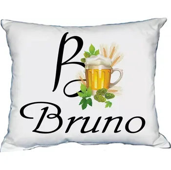 Dekorativní polštářek Moon River BRUNO polštář s pánským jménem velikost 30x40 cm (polštářek pánské jméno )