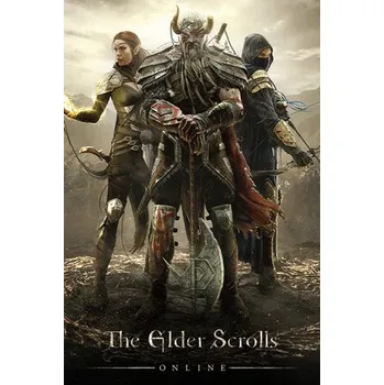 Počítačová hra The Elder Scrolls Online PC