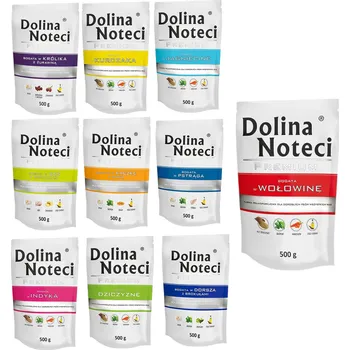 Krmivo pro rybičky Dolina Noteci PREMIUM Mix všech příchutí 10x500g