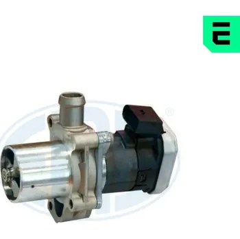 Ventil palivového systému AGR-Ventil ERA 555255A