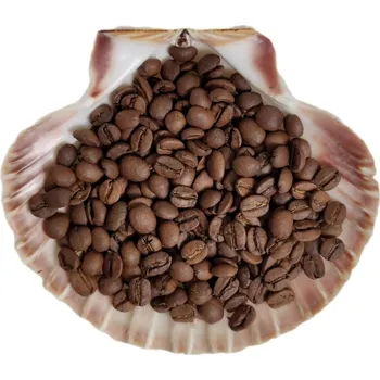 ZRNKOVÁ KÁVA BRAZÍLIE SANTOS 100g