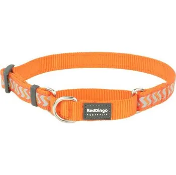 Obojek pro psa Obojek polostahovací Red Dingo 25 mm x 41-62 cm - Ziggy R - Oranžová